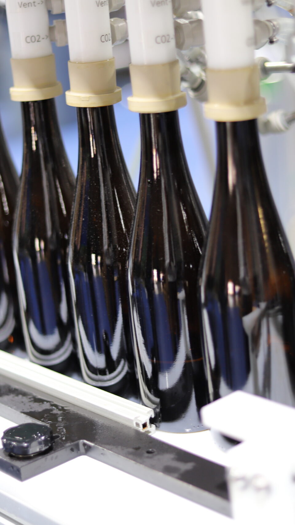 IMG_0393_bottles